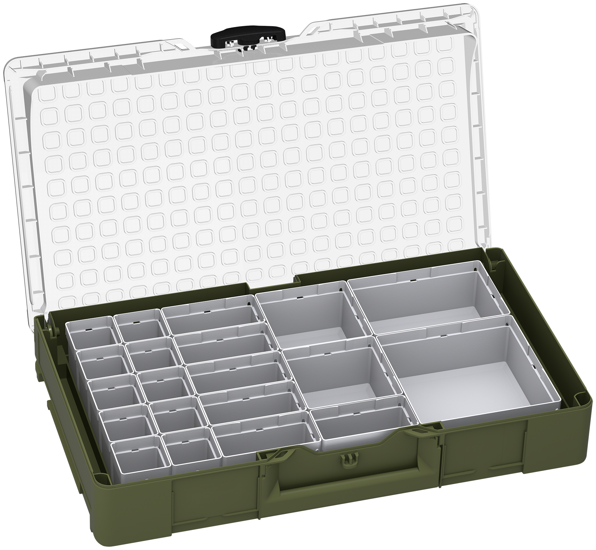 Systainer³ Organizer L "SYS-Nature" set de 2